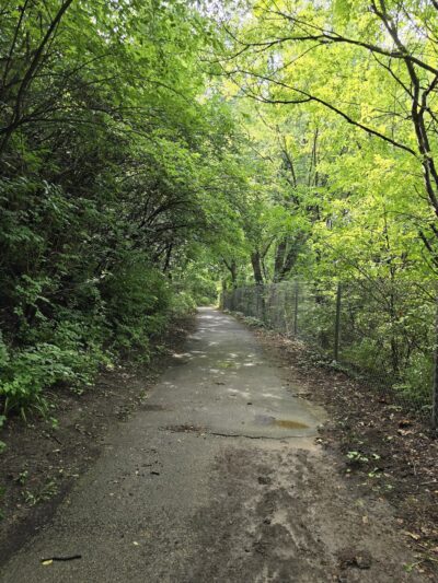 Smedley-Leiper Trail - Avondale Trailhead - Wallingford, PA