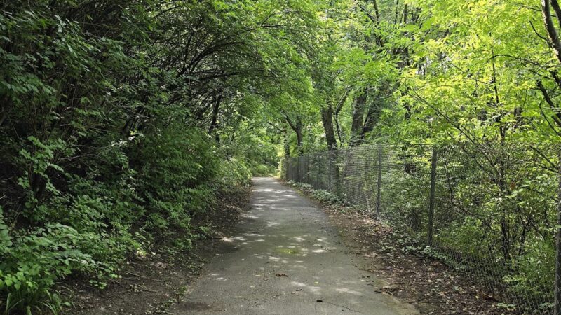 Smedley-Leiper Trail - Avondale Trailhead - Wallingford, PA
