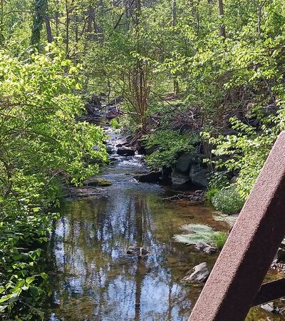 Smedley-Leiper Trail - Avondale Trailhead - Wallingford, PA