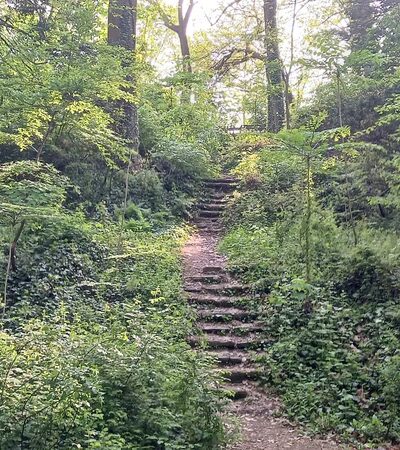 Smedley-Leiper Trail - Avondale Trailhead - Wallingford, PA