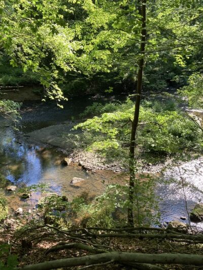 Springfield Trail - Papermill Trolley Trailhead - Wallingford, PA
