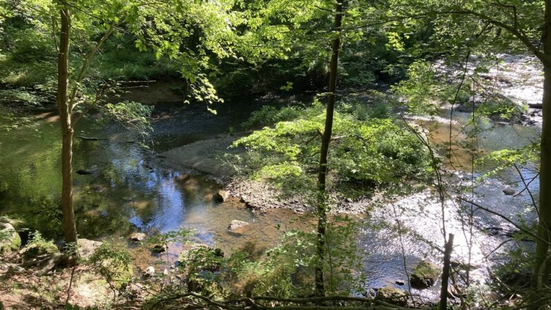 Springfield Trail - Papermill Trolley Trailhead - Wallingford, PA