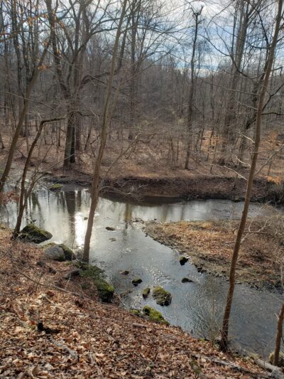 Springfield Trail - Papermill Trolley Trailhead - Wallingford, PA