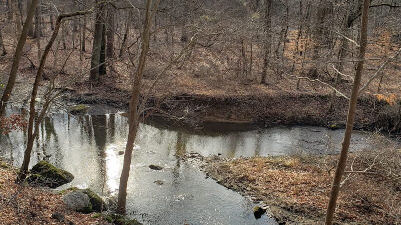 Springfield Trail - Papermill Trolley Trailhead - Wallingford, PA