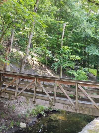 Springfield Trail - Papermill Trolley Trailhead - Wallingford, PA