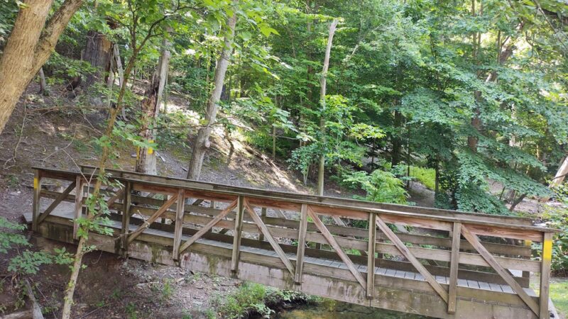 Springfield Trail - Papermill Trolley Trailhead - Wallingford, PA