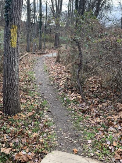 Springfield Trail - Papermill Trolley Trailhead - Wallingford, PA