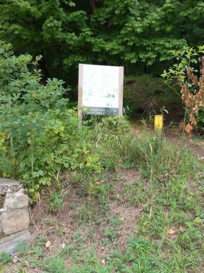 Springfield Trail - Papermill Trolley Trailhead - Wallingford, PA