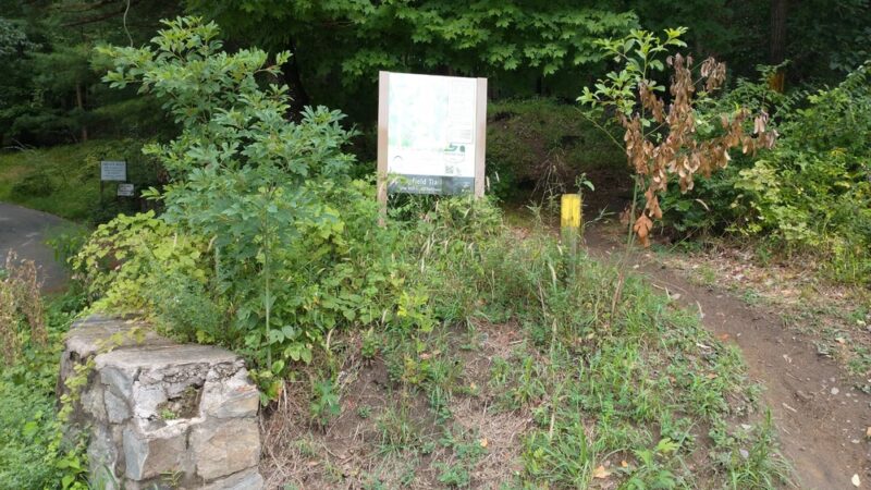 Springfield Trail - Papermill Trolley Trailhead - Wallingford, PA