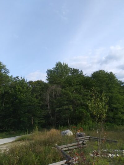 Stone Meadow Park - Wallingford, VT