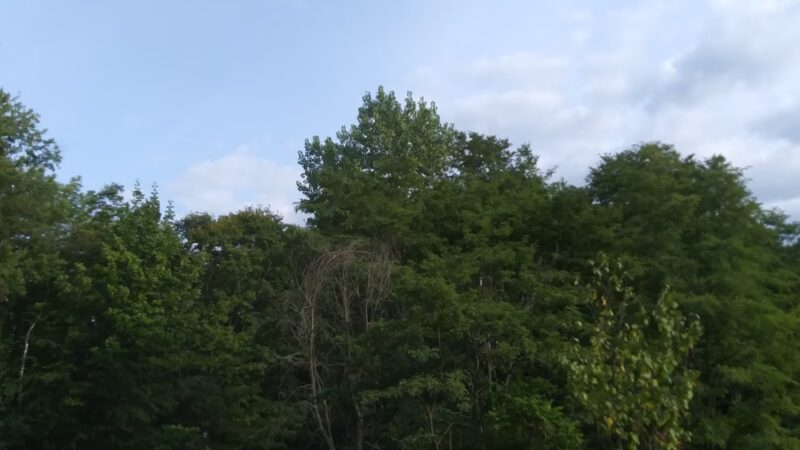 Stone Meadow Park - Wallingford, VT