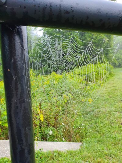 Stone Meadow Park - Wallingford, VT
