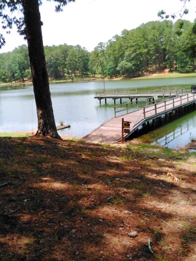 Golden Memorial State Park - Walnut Grove, MS