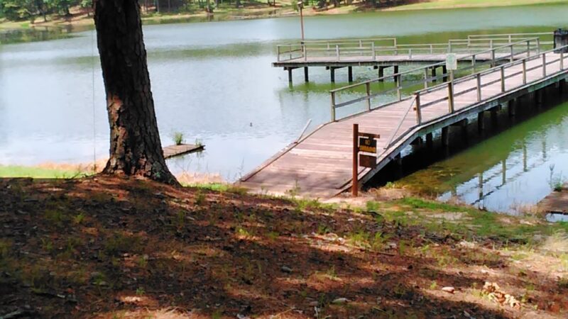 Golden Memorial State Park - Walnut Grove, MS