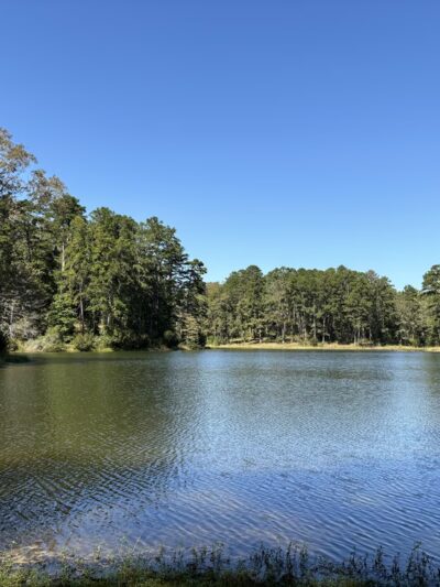 Golden Memorial State Park - Walnut Grove, MS