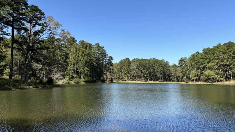 Golden Memorial State Park - Walnut Grove, MS