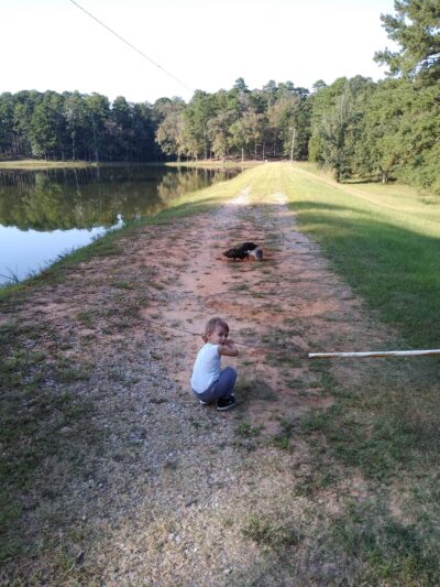 Golden Memorial State Park - Walnut Grove, MS