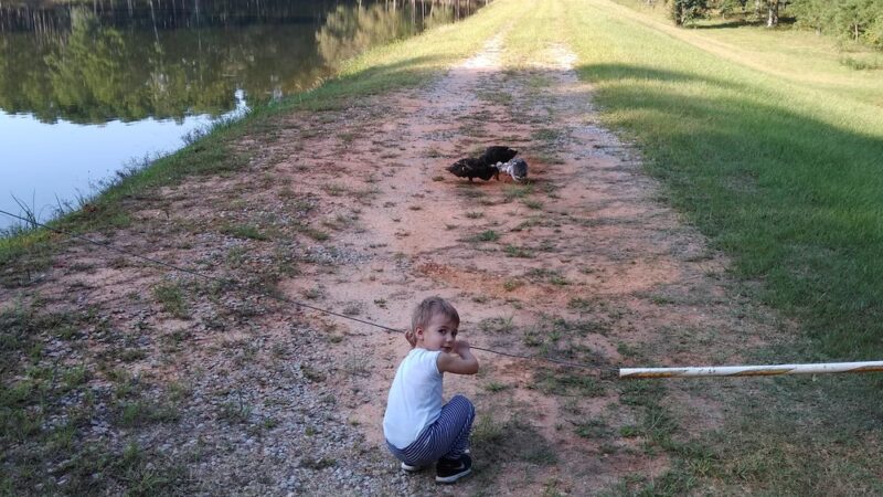 Golden Memorial State Park - Walnut Grove, MS
