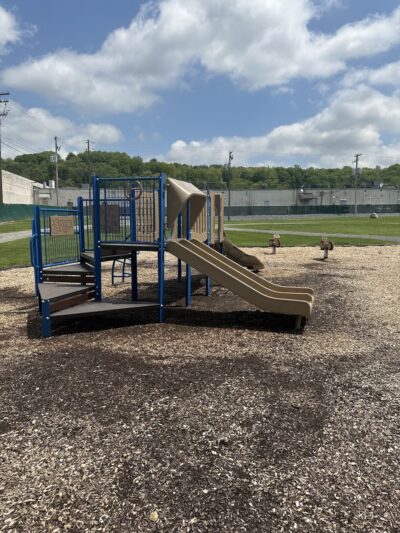 Walnutport Playground Association - Walnutport, PA