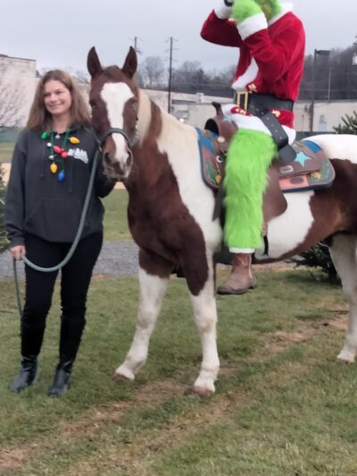 Walnutport Playground Association - Walnutport, PA