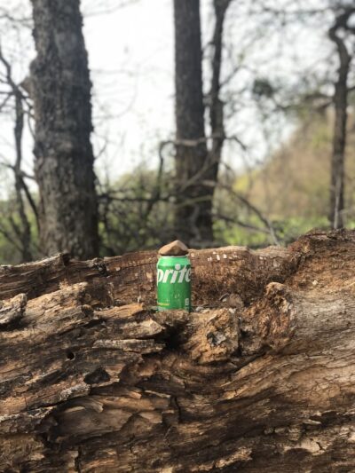 Sultan Park - Walters, OK