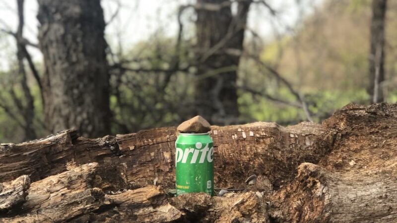Sultan Park - Walters, OK