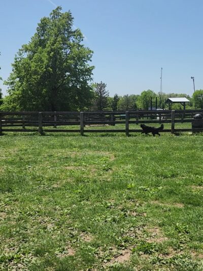 Walton Community Park - Walton, KY