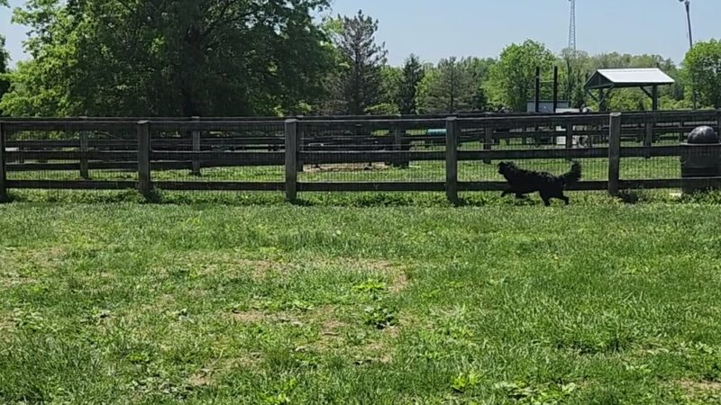 Walton Community Park - Walton, KY