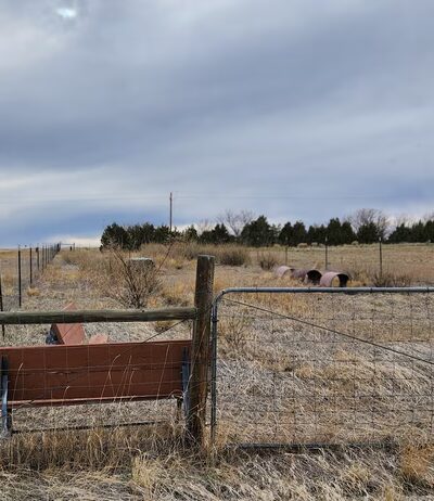 Wamsutter Park - Wamsutter, WY
