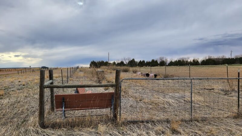 Wamsutter Park - Wamsutter, WY