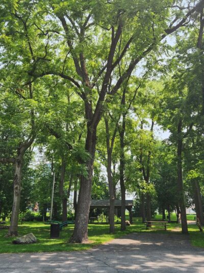 William F. Hunt Memorial Park - Wanatah, IN