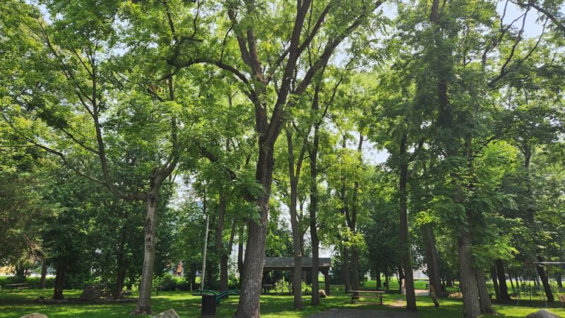 William F. Hunt Memorial Park - Wanatah, IN