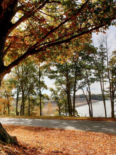 Eagle Point Recreation Area - Wappapello, MO