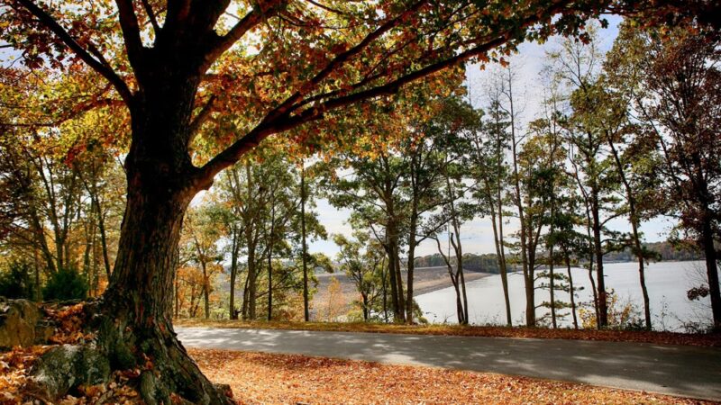 Eagle Point Recreation Area - Wappapello, MO