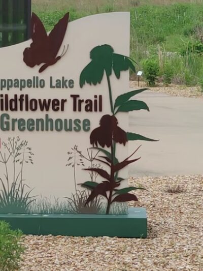 Redman Creek Campground west - Wappapello, MO