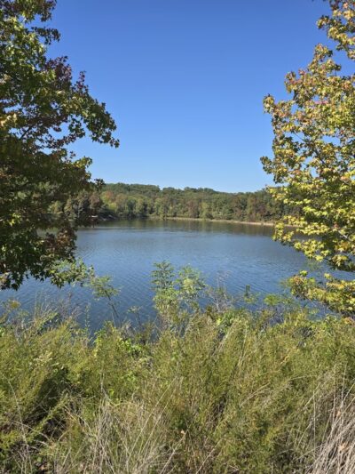 Redman Creek Recreation Area - Wappapello, MO