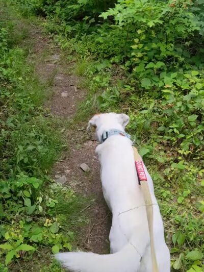 Freedom Trail - Wappingers Falls, NY