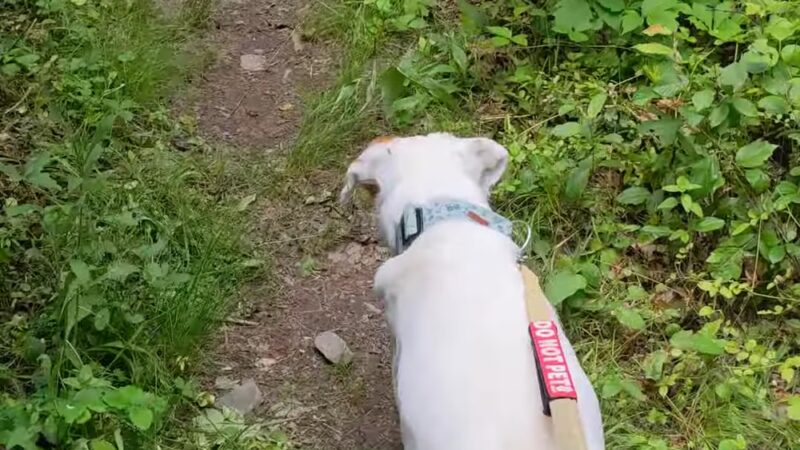 Freedom Trail - Wappingers Falls, NY