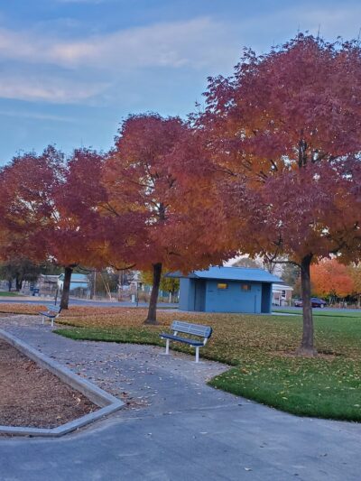 Warden City Park - Warden, WA