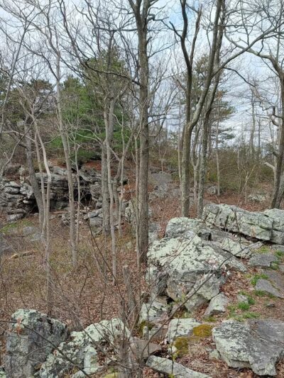 Big Schloss - Wardensville, WV