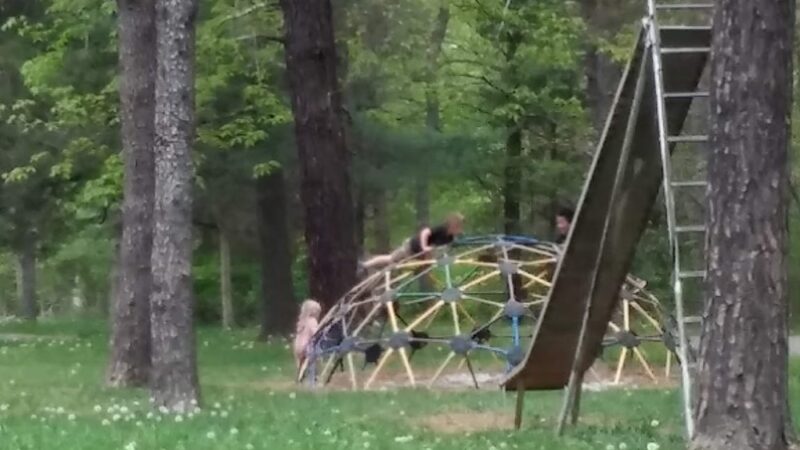 Wardensville Town Park - Wardensville, WV