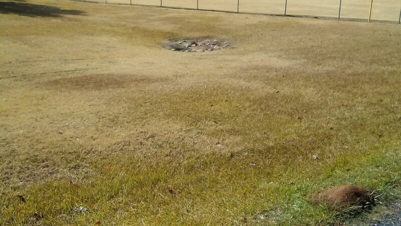 Youngs Park - Ware Shoals, SC