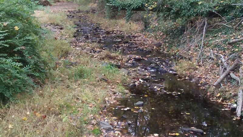 Devonshire Court Township Park - Nature Preserve - Warminster, PA
