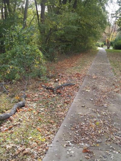 Devonshire Court Township Park - Nature Preserve - Warminster, PA