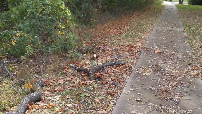 Devonshire Court Township Park - Nature Preserve - Warminster, PA