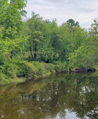 Bagley Field Rail Trail - Warner, NH