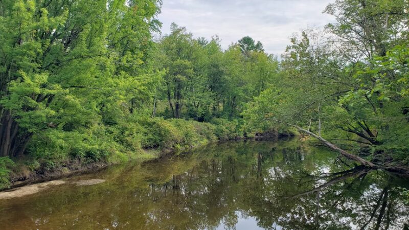 Bagley Field Rail Trail - Warner, NH