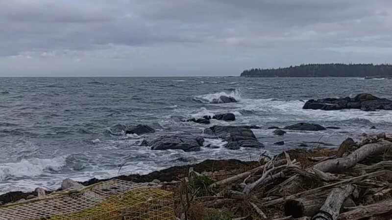 Canine Connection - Warren, ME