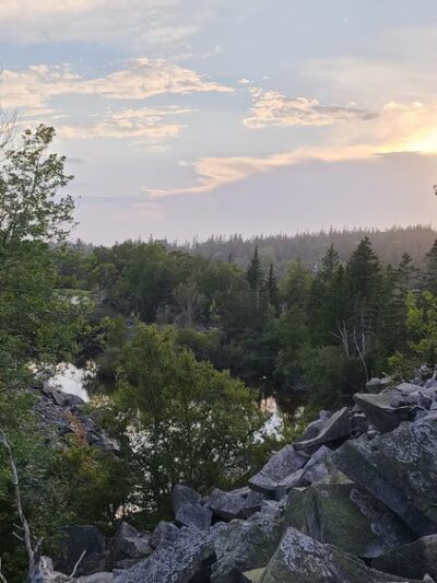 Canine Connection - Warren, ME