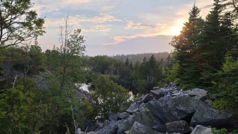 Canine Connection - Warren, ME